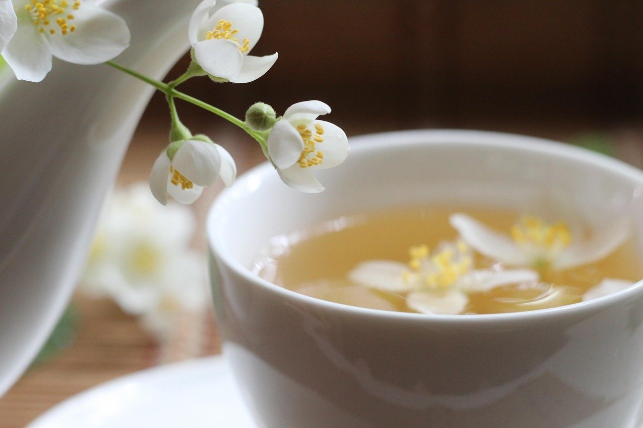jasmine, bloom, flower background, flowers, still life, cup, white, petals, nature, decor, beautiful flowers, flower wallpaper, scent