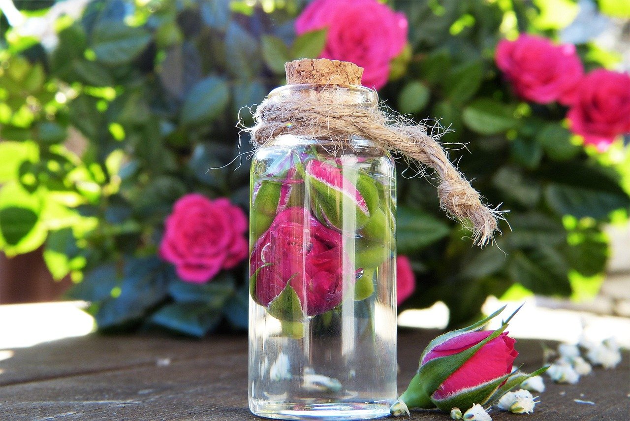 rose, rose flower, water, glass, blossom, bloom, essential oils, nature, bio, health, beauty, cosmetics, maintain, skin, medicine, homeopathy, alternatively, fragrance, oil, natural cosmetics, perfume