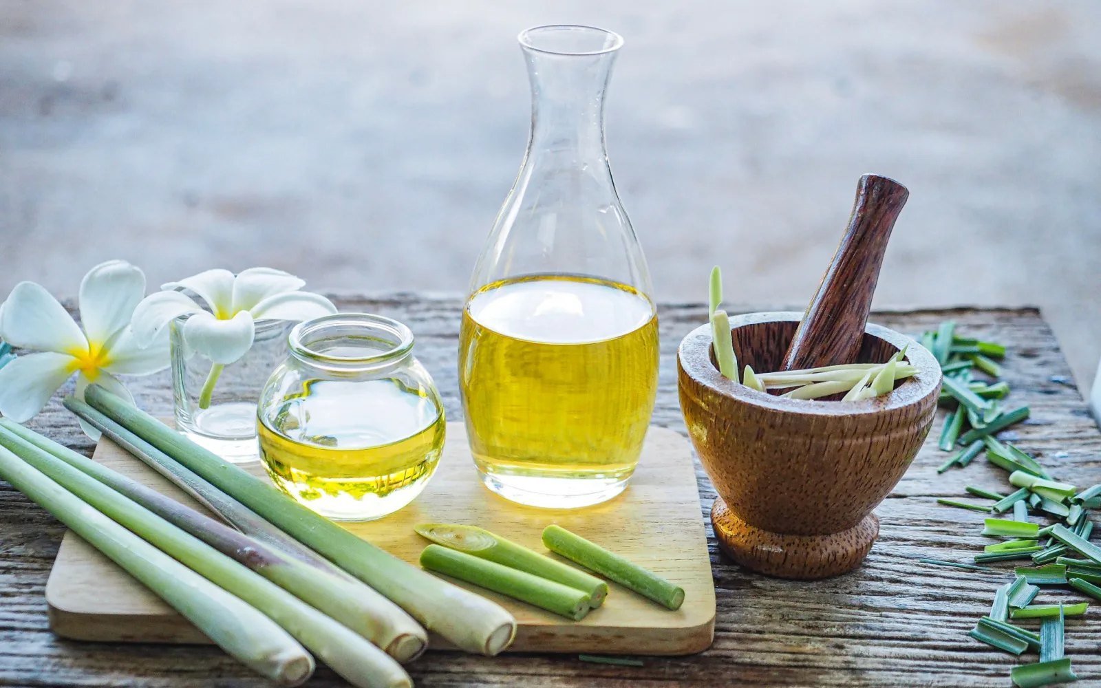 lemongrass essential oil kritibioextracts