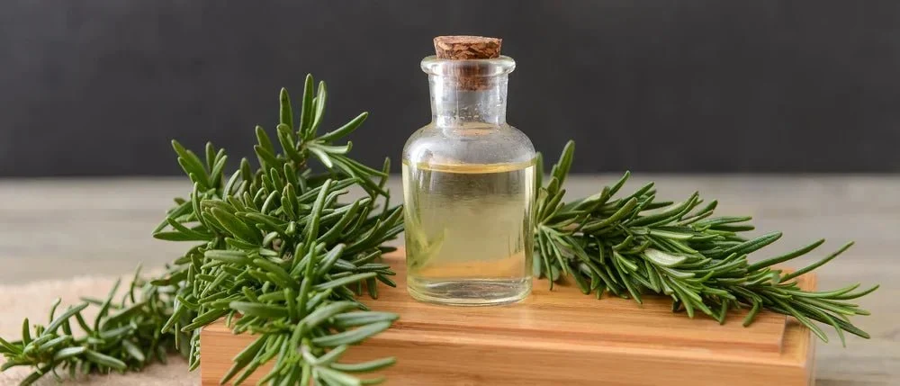rose mary oil